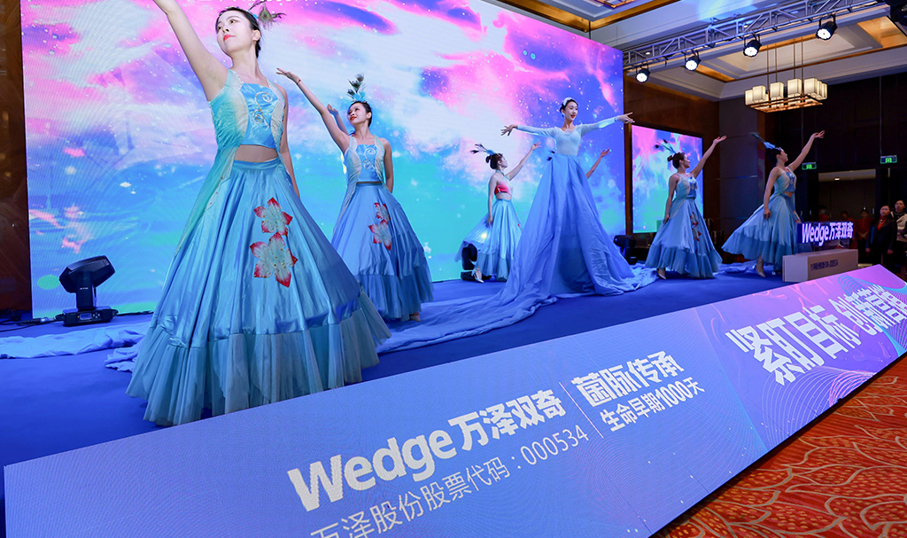 萬(wàn)澤雙奇2023年度營(yíng)銷(xiāo)大會(huì)12